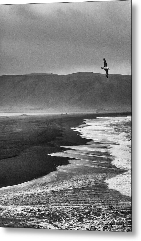 South Coast Metal Print featuring the photograph Rugged Beauty by Phil Marty