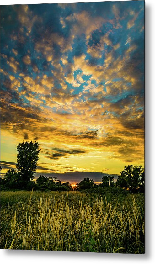 Sunset Metal Print featuring the photograph Run Wild by Flowstate Photography