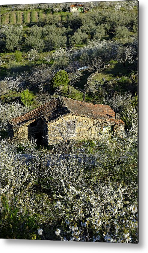Scenics Metal Print featuring the photograph Rural scene in Spain by Carlos Sanchez Pereyra