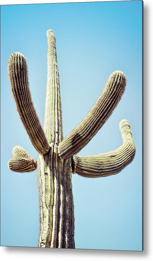 Atmospheric Metal Print featuring the photograph Saguaro #3 by Jennifer Wright