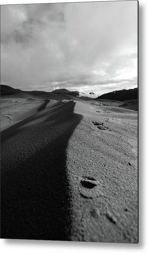Mountain Metal Print featuring the photograph Sand Dune Dayz by Go and Flow Photos