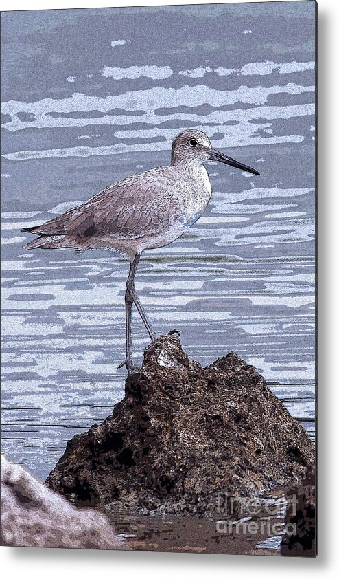 Bird; Sandpiper; Water; Gulf Of Mexico; Florida; Key West; Sunlight; Reflections; Ripples; Rocks; Beach; Vertical; Blue Metal Print featuring the digital art Sandpiper in Blue by Tina Uihlein