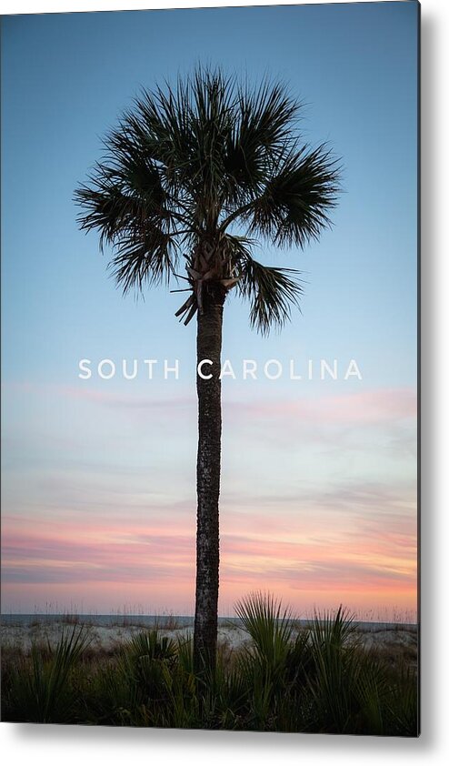 Tree Metal Print featuring the photograph SC Palmetto Tree at Sunset by Cindy Robinson