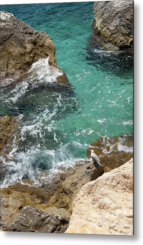 Mediterranean Metal Print featuring the photograph Seagull watches the cliffs and the Mediterranean Sea by Adriana Mueller