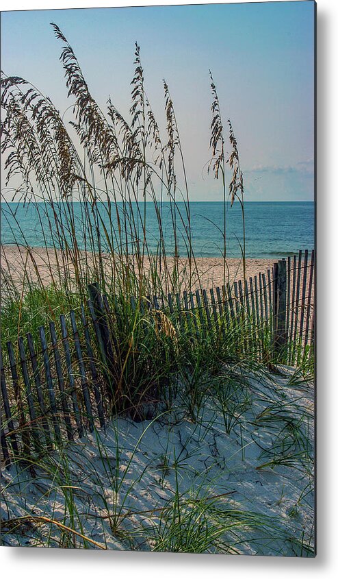 Sea Oats Metal Print featuring the photograph Sea Oats at Gulf State Park by James C Richardson