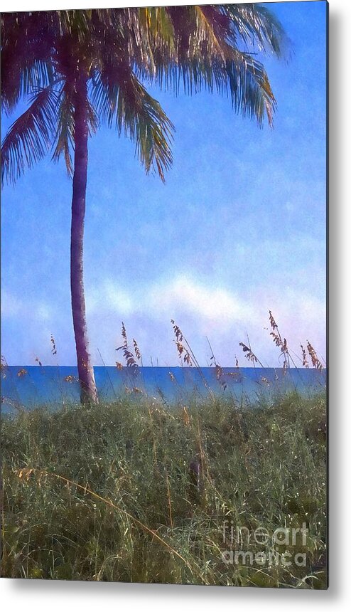 Florida Metal Print featuring the photograph Seagrass bends in the breeze under a palm tree on a Key Biscayne beach by William Kuta