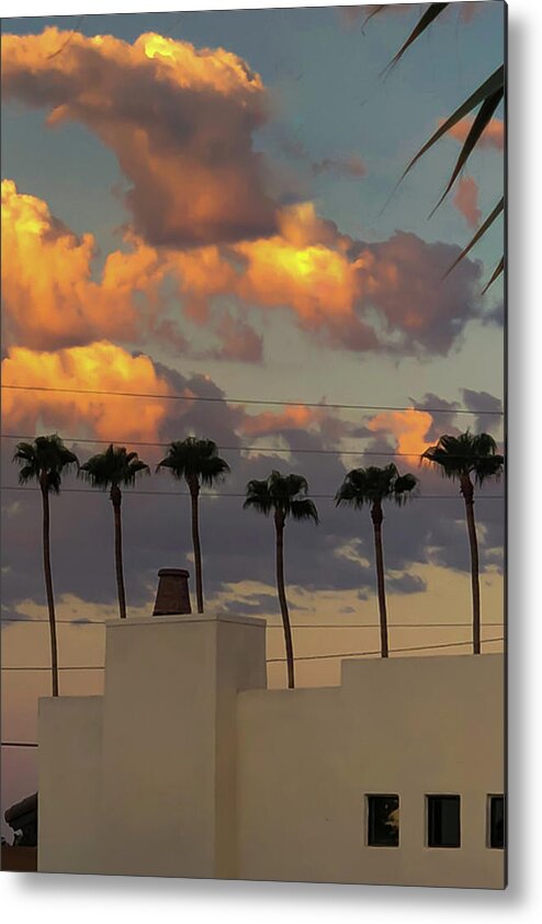 Adobe Metal Print featuring the photograph Six Palms by Grey Coopre
