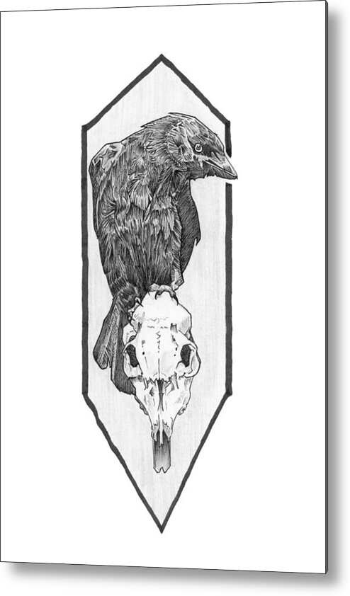 Crow Metal Print featuring the drawing Skull and Crow by Tiffany DiGiacomo