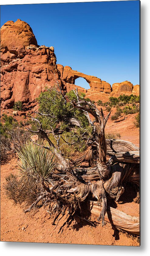 Arch Metal Print featuring the photograph Skyline Arch by Norman Reid