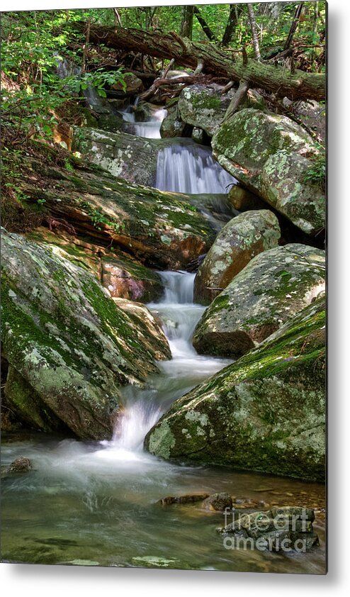 Morning Metal Print featuring the photograph Small Cascades 2 by Phil Perkins