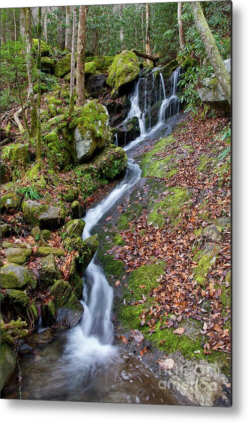 Tennessee Metal Print featuring the photograph Small Waterfall In Forest by Phil Perkins