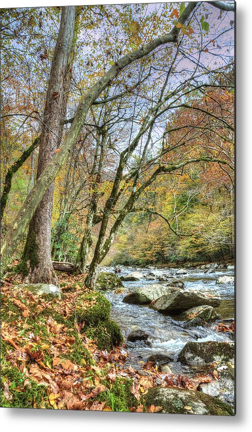 Smoky Mountains Metal Print featuring the photograph Smoky Mountain Stream by Randall Dill