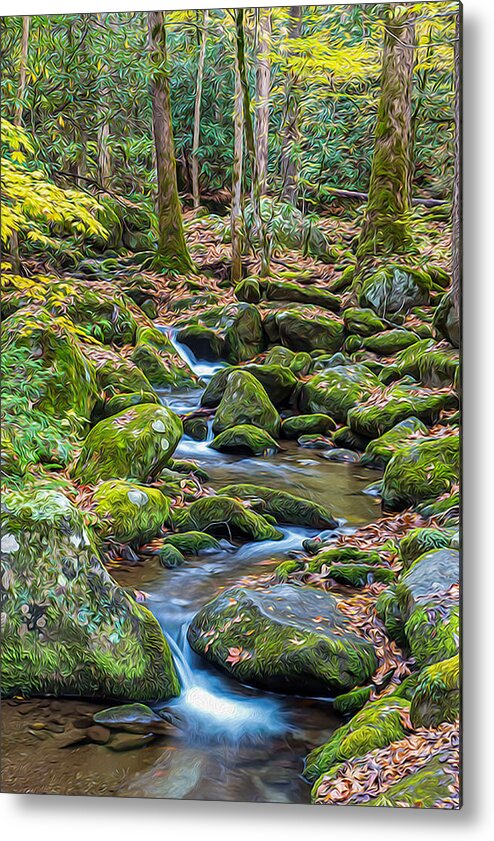 Great Smoky Mountains National Park Metal Print featuring the photograph Smoky Cascade 03 OP by Jim Dollar