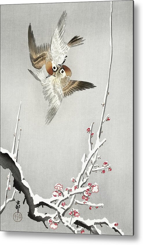 Bird Metal Print featuring the painting Sparrows and snowy plum tree by Ohara Koson