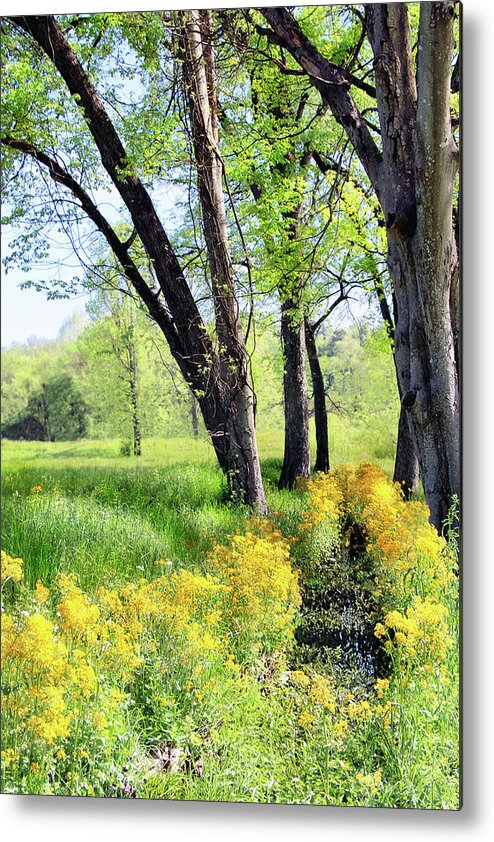 Spring Metal Print featuring the photograph Spring Is The Color by Iryna Goodall