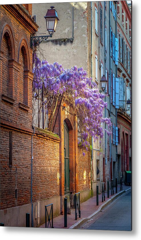 Spring Metal Print featuring the photograph Spring Wisteria in Toulouse by W Chris Fooshee