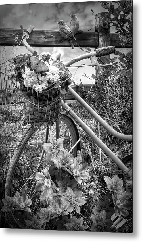 Barns Metal Print featuring the photograph Summer Breeze on a Bicycle Black and White by Debra and Dave Vanderlaan