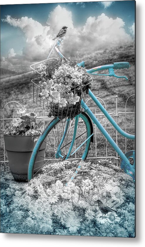 Birds Metal Print featuring the photograph Summer Morning Black and White and Blue by Debra and Dave Vanderlaan