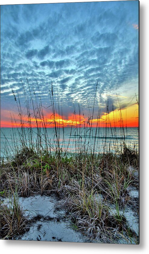 Sunset Metal Print featuring the photograph Sun Setting by Alison Belsan Horton