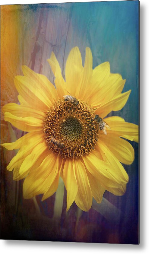 Botanical Metal Print featuring the photograph Sunflower by Sue Leonard