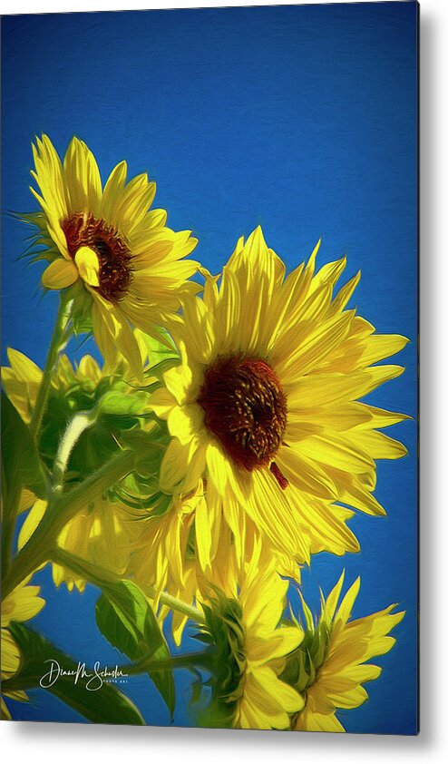 Sunflowers Metal Print featuring the digital art Sunflowers Against A Blue Sky by Diane Schuster