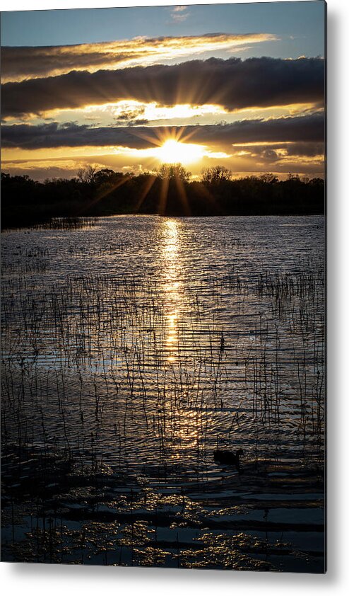 Sunset Metal Print featuring the photograph Sunset at Cosumnes River Preserve by Gary Geddes