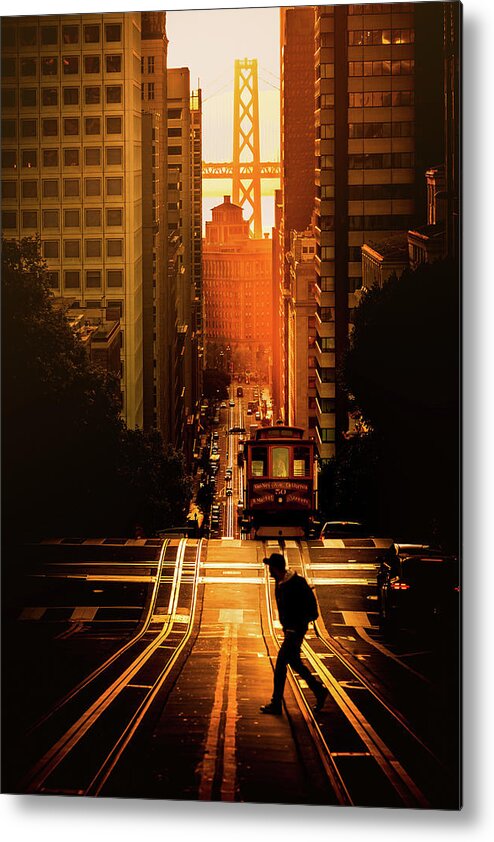  Metal Print featuring the photograph Taking a Stroll by Louis Raphael