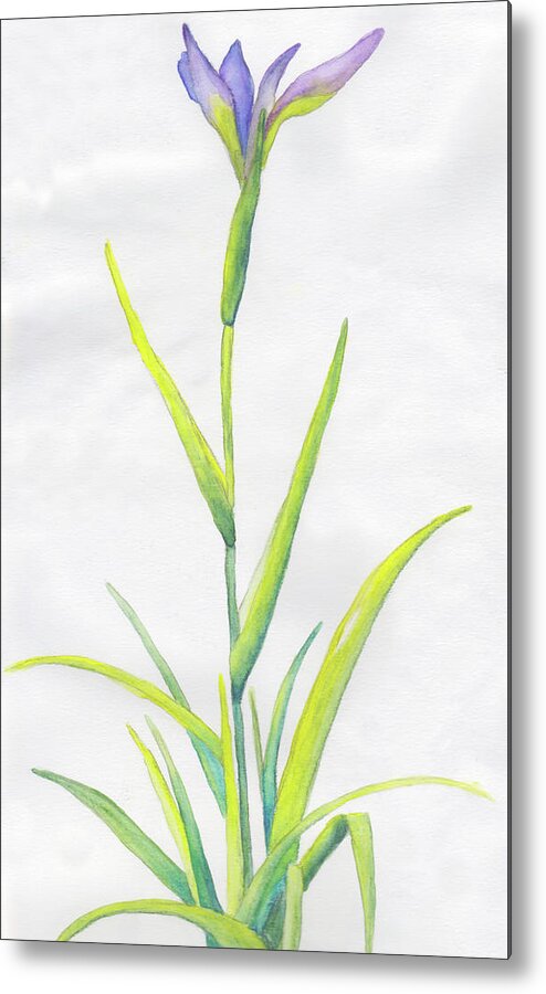 Iris Metal Print featuring the painting Tall Iris at the Pond by Anne Katzeff