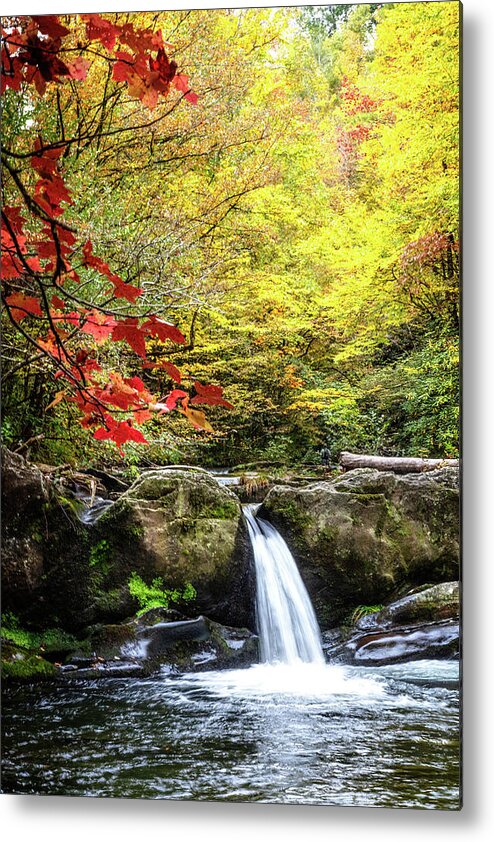 Carolina Metal Print featuring the photograph The Colors of Fall at the Waterfall by Debra and Dave Vanderlaan