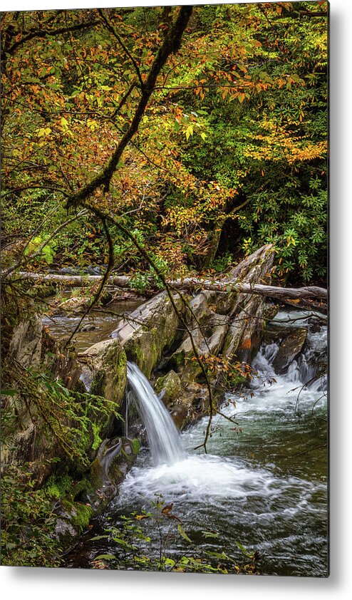 Carolina Metal Print featuring the photograph The Colors of Fall Smoky Mountain Waterfall by Debra and Dave Vanderlaan