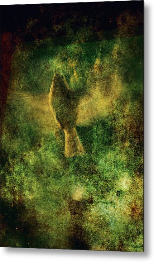 Bird Metal Print featuring the photograph The curious bird by Yasmina Baggili