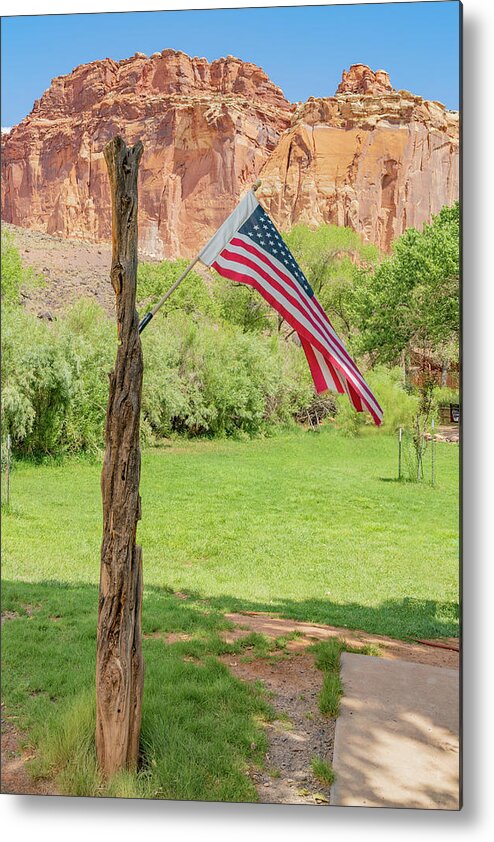 Ige08683 Metal Print featuring the photograph The Flag by Gordon Elwell
