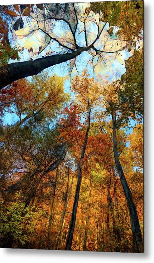 Clouds Metal Print featuring the photograph The Forest's Embrace Painting by Debra and Dave Vanderlaan