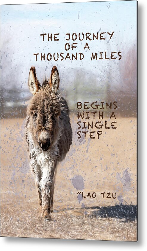 Donkey Metal Print featuring the photograph The Journey Of A Thousand Miles by Jennifer Grossnickle
