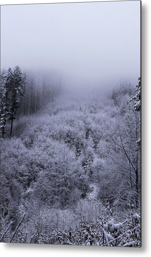 Beskydy Metal Print featuring the photograph The last remnants of the snow cover, together with the impenetrable fog, create a wonderful mystical atmosphere. Freak of winter nature. Haze is coming down from mountain to valley by Vaclav Sonnek
