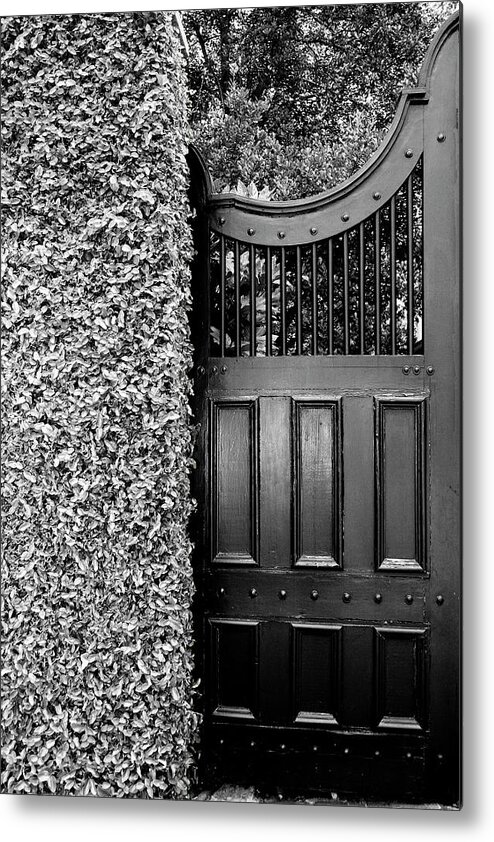 Charleston Metal Print featuring the photograph THE NEIGHBOURHOODS GATE Charleston SC by William Dey