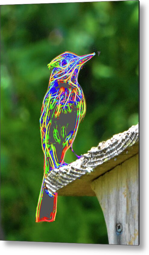 Bird Metal Print featuring the photograph The Neon Bird by Jerry Griffin