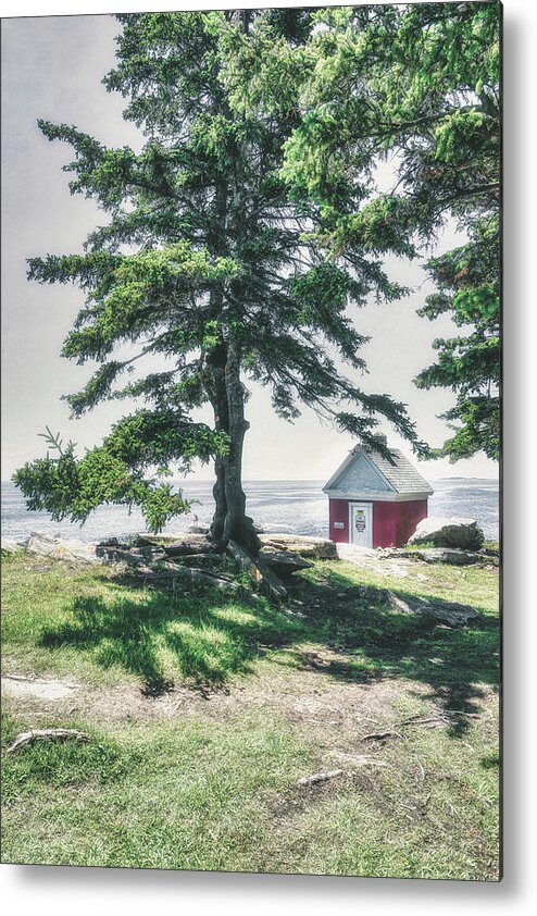 Pemaquid Point Lighthouse Park Metal Print featuring the photograph The Tree of Pemaquid Point by Penny Polakoff