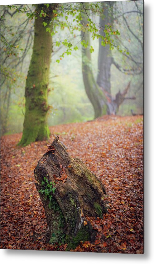 Autumn Metal Print featuring the photograph This Autumn goes all the way to 11 by Gavin Lewis