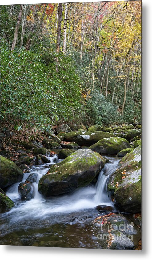 Smoky Mountains Metal Print featuring the photograph Thunderhead Prong 27 by Phil Perkins