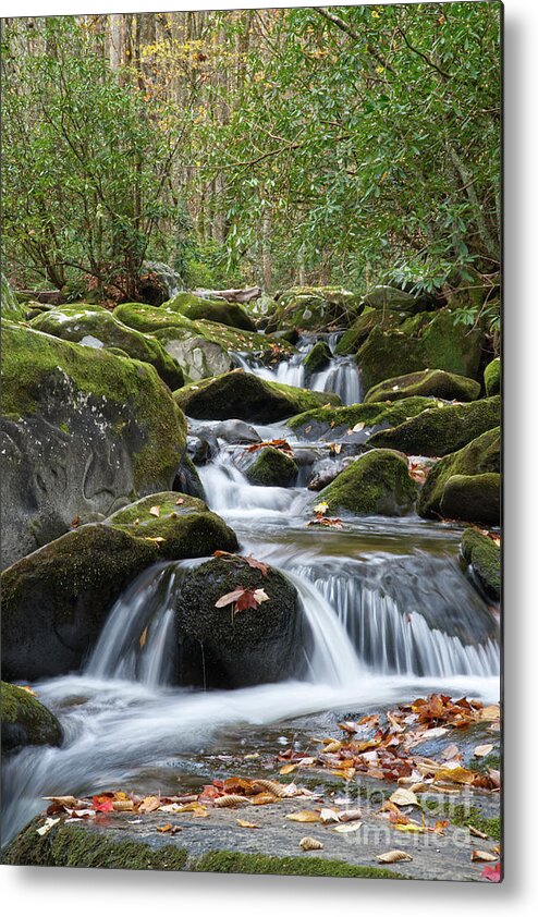 Smoky Mountains Metal Print featuring the photograph Thunderhead Prong 29 by Phil Perkins