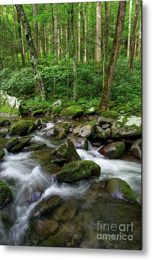Smoky Mountains Metal Print featuring the photograph Thunderhead Prong 6 by Phil Perkins