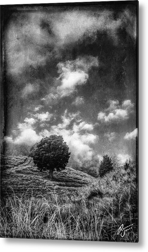 Tree Metal Print featuring the photograph Tomorrow by Roseanne Jones