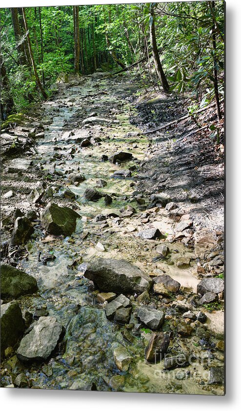 Trail Metal Print featuring the photograph Trail Is A Creek by Phil Perkins
