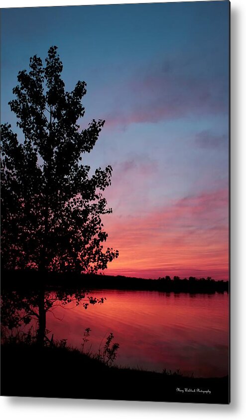 Tree Metal Print featuring the photograph Tree in Sunset by Mary Walchuck