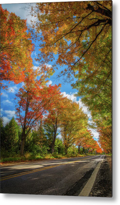 Michigan Metal Print featuring the photograph Tree Tunnel on M22 by Owen Weber