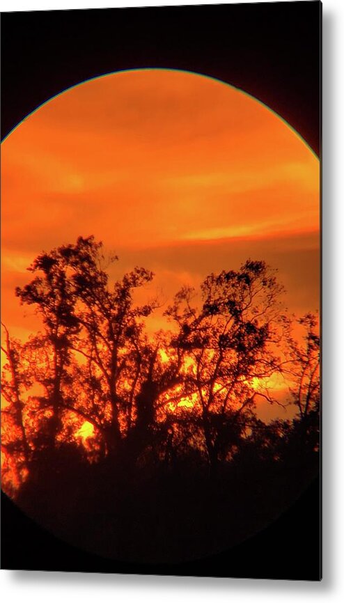 Sky Metal Print featuring the photograph Trees in Sunset by Karen Stansberry