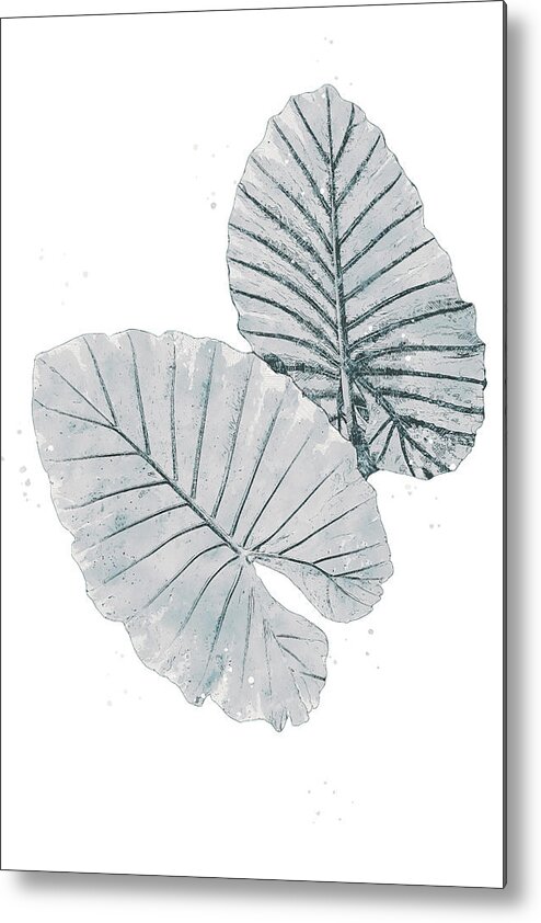 Palm Leaf Metal Print featuring the photograph Tropical Palm BW by Pamela Williams