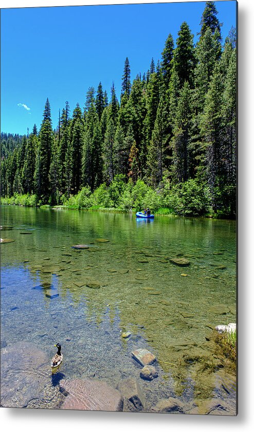 River Metal Print featuring the photograph Truckee River California by Tony Locke