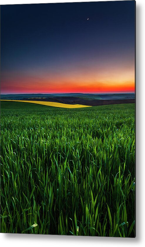 Dusk Metal Print featuring the photograph Twilight Fields by Evgeni Dinev
